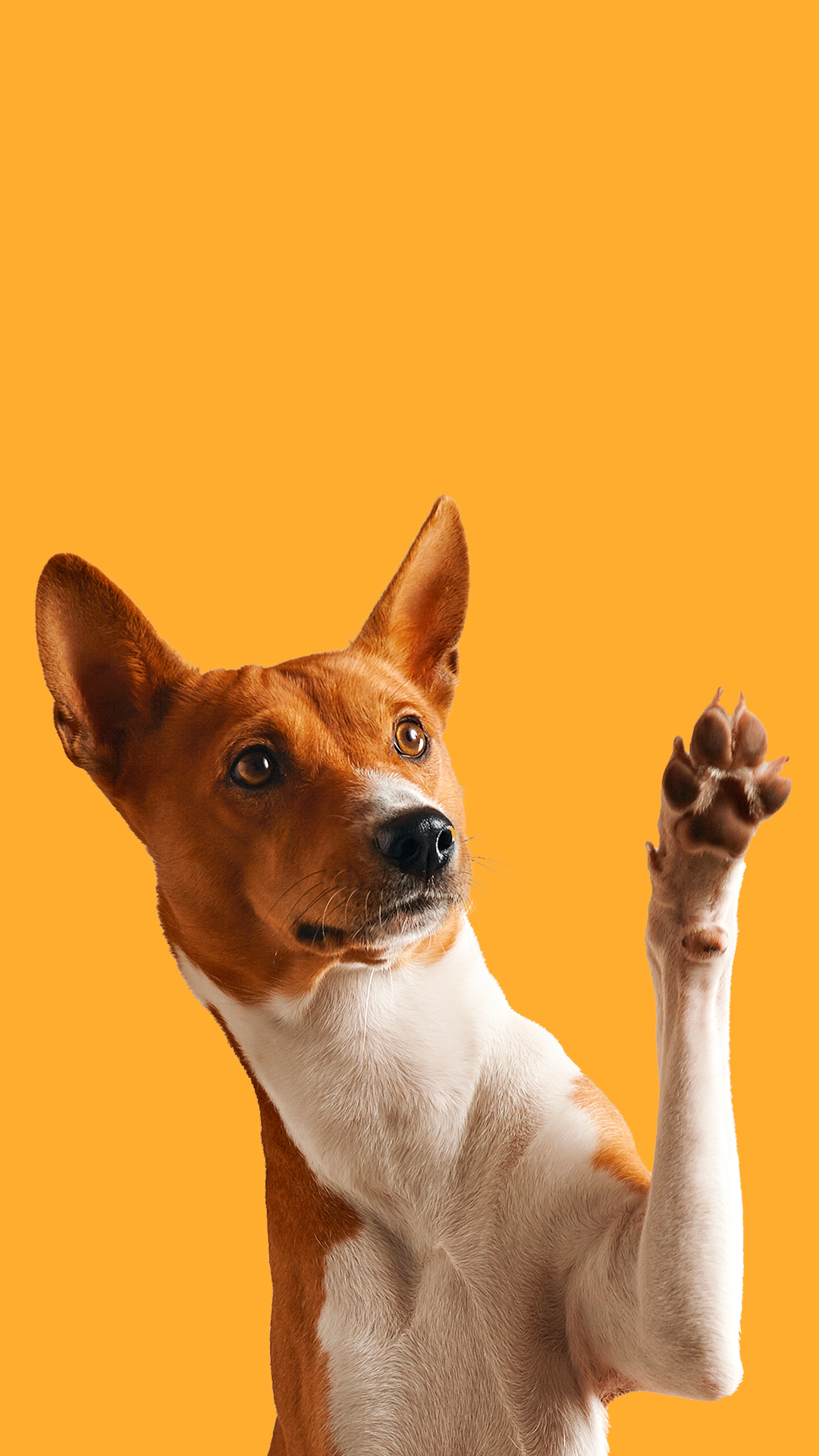 PuP Cover